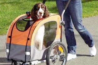 dog-strollers-for-big-dogs